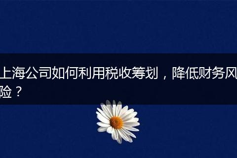 上海公司如何利用稅收籌劃，降低財務(wù)風(fēng)險？