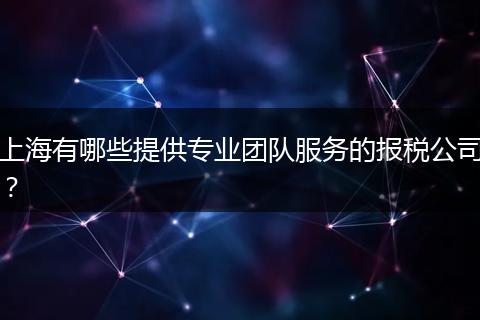 上海有哪些提供專業(yè)團隊服務(wù)的報稅公司？