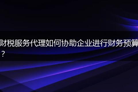財稅服務(wù)代理如何協(xié)助企業(yè)進(jìn)行財務(wù)預(yù)算?