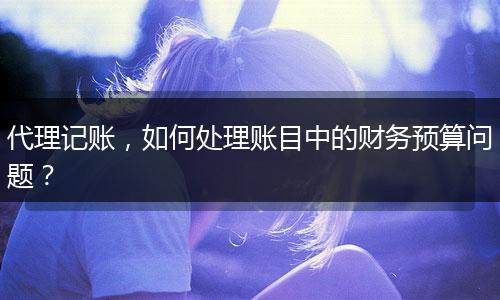 代理記賬，如何處理賬目中的財(cái)務(wù)預(yù)算問(wèn)題？