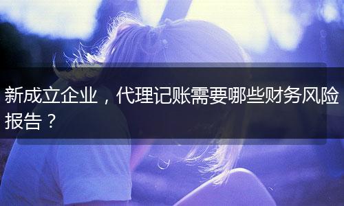 新成立企業(yè)，代理記賬需要哪些財(cái)務(wù)風(fēng)險(xiǎn)報(bào)告？