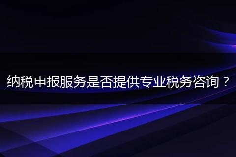 納稅申報服務(wù)是否提供專業(yè)稅務(wù)咨詢？