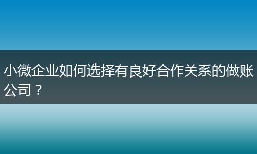 小微企業(yè)如何選擇有良好合作關(guān)系的做賬公司？