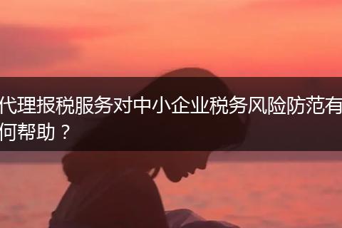 代理報稅服務(wù)對中小企業(yè)稅務(wù)風險防范有何幫助？