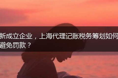 新成立企業(yè)，上海代理記賬稅務(wù)籌劃如何避免罰款？