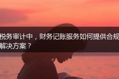 稅務審計中，財務記賬服務如何提供合規(guī)解決方案？