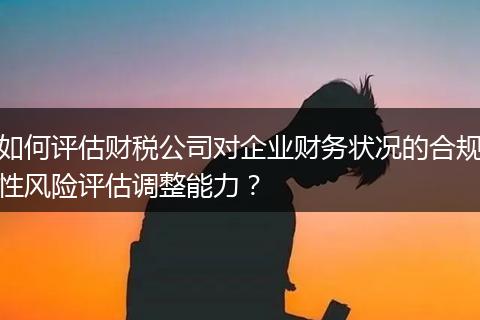 如何評估財(cái)稅公司對企業(yè)財(cái)務(wù)狀況的合規(guī)性風(fēng)險(xiǎn)評估調(diào)整能力？