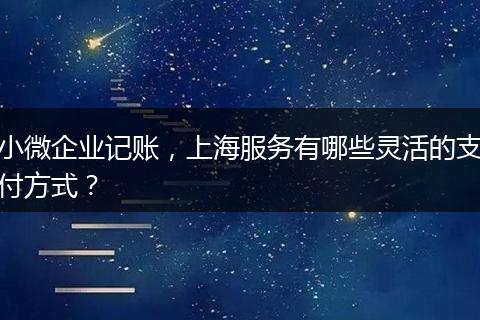 小微企業(yè)記賬，上海服務(wù)有哪些靈活的支付方式？