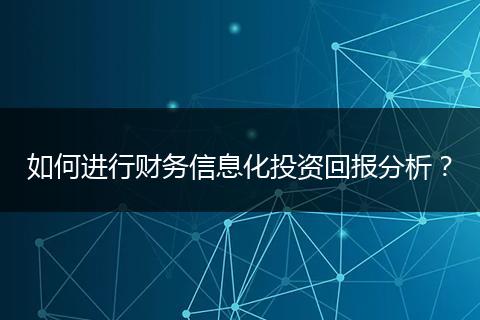 如何進(jìn)行財(cái)務(wù)信息化投資回報(bào)分析?