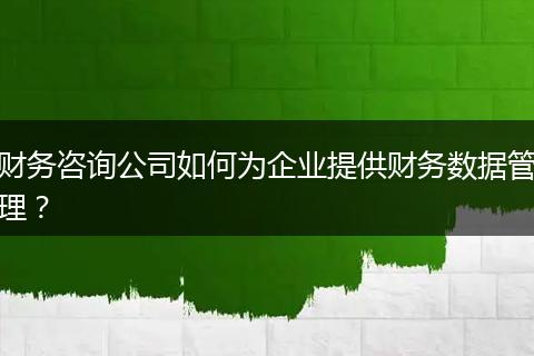財(cái)務(wù)咨詢公司如何為企業(yè)提供財(cái)務(wù)數(shù)據(jù)管理？