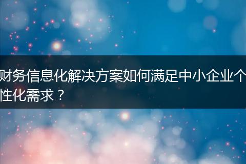財務信息化解決方案如何滿足中小企業(yè)個性化需求？