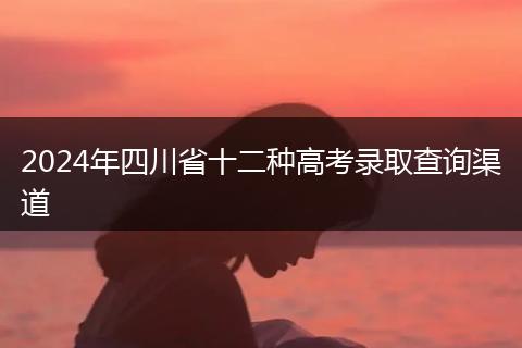 2024年四川省十二種高考錄取查詢渠道