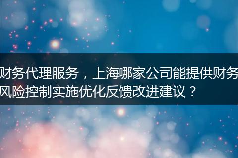 財(cái)務(wù)代理服務(wù)，上海哪家公司能提供財(cái)務(wù)風(fēng)險(xiǎn)控制實(shí)施優(yōu)化反饋改進(jìn)建議？