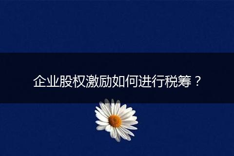 企業(yè)股權(quán)激勵(lì)如何進(jìn)行稅籌?