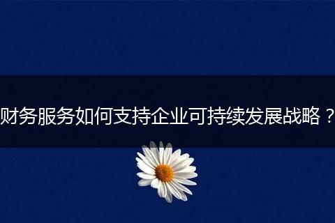 財(cái)務(wù)服務(wù)如何支持企業(yè)可持續(xù)發(fā)展戰(zhàn)略？