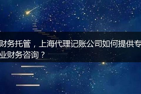 財務托管，上海代理記賬公司如何提供專業(yè)財務咨詢？
