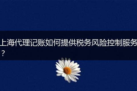 上海代理記賬如何提供稅務(wù)風(fēng)險(xiǎn)控制服務(wù)？