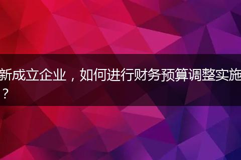 新成立企業(yè)，如何進(jìn)行財(cái)務(wù)預(yù)算調(diào)整實(shí)施？