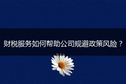 財(cái)稅服務(wù)如何幫助公司規(guī)避政策風(fēng)險(xiǎn)？