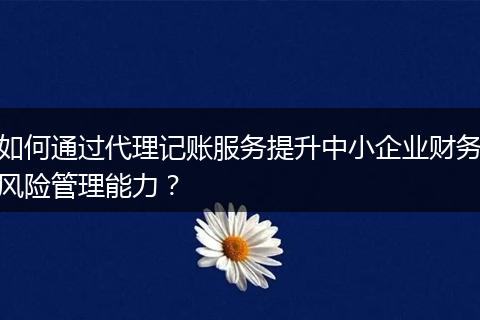 如何通過代理記賬服務(wù)提升中小企業(yè)財務(wù)風險管理能力？