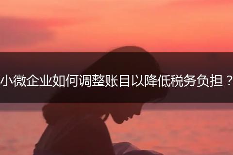 小微企業(yè)如何調(diào)整賬目以降低稅務(wù)負(fù)擔(dān)？