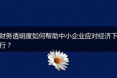 財(cái)務(wù)透明度如何幫助中小企業(yè)應(yīng)對經(jīng)濟(jì)下行？