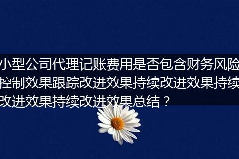 小型公司代理記賬費(fèi)用是否包含財(cái)務(wù)風(fēng)險(xiǎn)控制效果跟蹤改進(jìn)效果持續(xù)改進(jìn)效果持續(xù)改進(jìn)效果持續(xù)改進(jìn)效果總結(jié)？