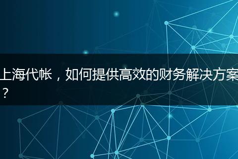 上海代帳，如何提供高效的財(cái)務(wù)解決方案？