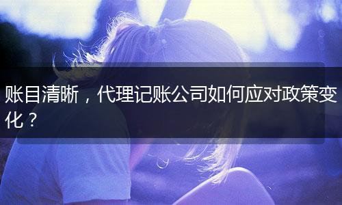 賬目清晰，代理記賬公司如何應(yīng)對政策變化？