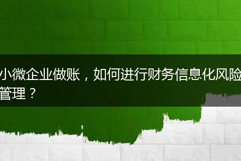 小微企業(yè)做賬，如何進行財務信息化風險管理？