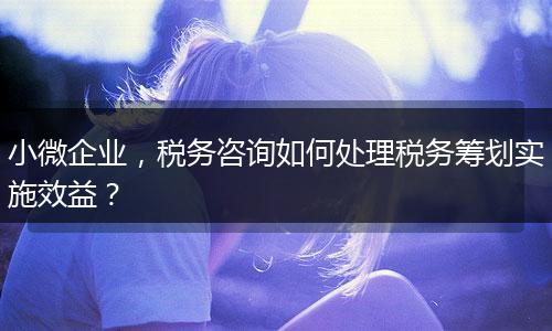 小微企業(yè)，稅務(wù)咨詢?nèi)绾翁幚矶悇?wù)籌劃實施效益？