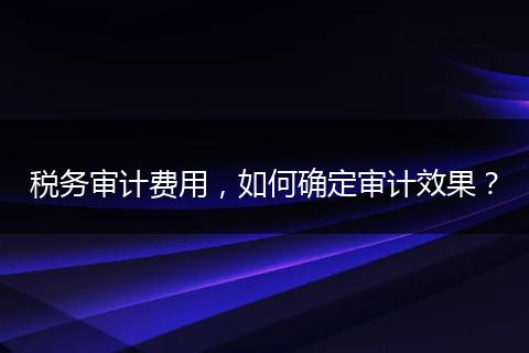 稅務(wù)審計(jì)費(fèi)用，如何確定審計(jì)效果？
