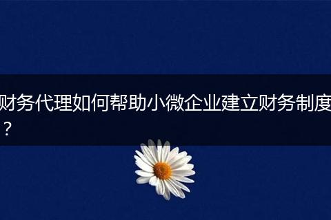 財(cái)務(wù)代理如何幫助小微企業(yè)建立財(cái)務(wù)制度？