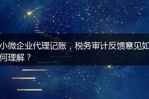 小微企業(yè)代理記賬，稅務(wù)審計(jì)反饋意見如何理解？
