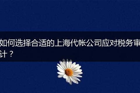 如何選擇合適的上海代帳公司應(yīng)對(duì)稅務(wù)審計(jì)？
