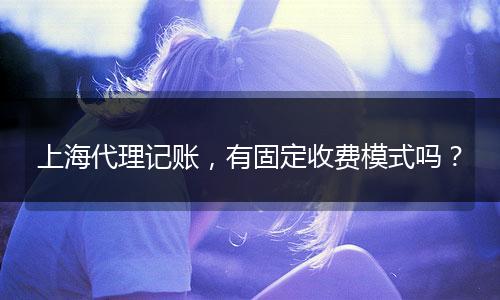 上海代理記賬，有固定收費模式嗎？