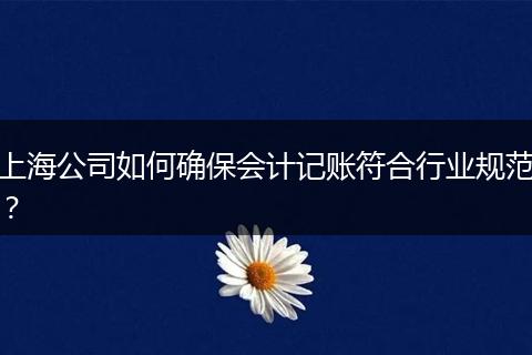 上海公司如何確保會(huì)計(jì)記賬符合行業(yè)規(guī)范？