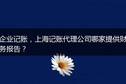企業(yè)記賬，上海記賬代理公司哪家提供財務報告？