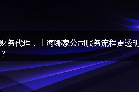 財務代理，上海哪家公司服務流程更透明？