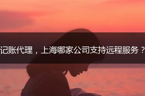 記賬代理，上海哪家公司支持遠(yuǎn)程服務(wù)？