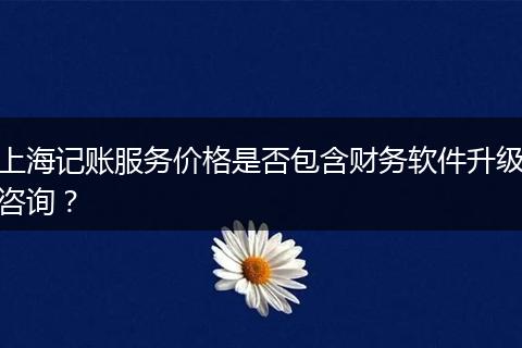 上海記賬服務(wù)價格是否包含財(cái)務(wù)軟件升級咨詢？