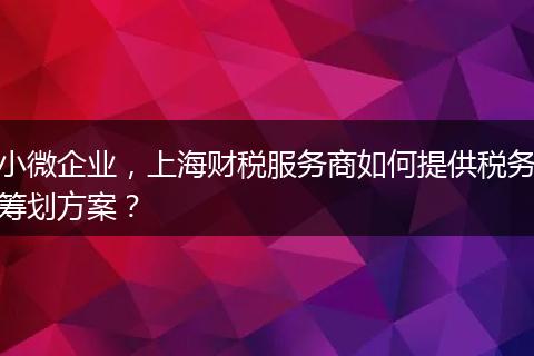 小微企業(yè)，上海財(cái)稅服務(wù)商如何提供稅務(wù)籌劃方案？