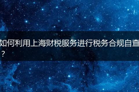 如何利用上海財(cái)稅服務(wù)進(jìn)行稅務(wù)合規(guī)自查?
