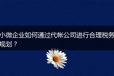 小微企業(yè)如何通過代帳公司進(jìn)行合理稅務(wù)規(guī)劃？