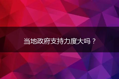當?shù)卣С至Χ却髥幔? style=