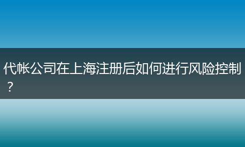 代帳公司在上海注冊(cè)后如何進(jìn)行風(fēng)險(xiǎn)控制？