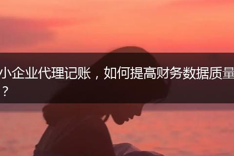 小企業(yè)代理記賬，如何提高財(cái)務(wù)數(shù)據(jù)質(zhì)量？