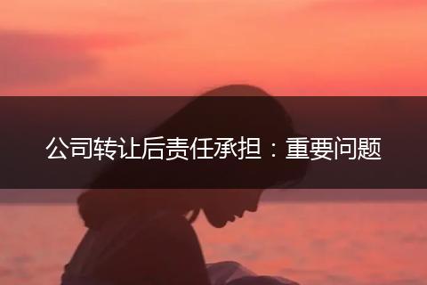 公司轉(zhuǎn)讓后責(zé)任承擔(dān)：重要問(wèn)題