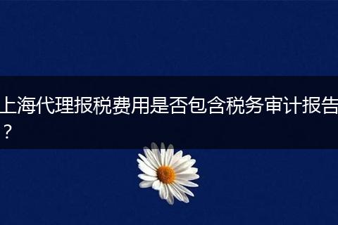 上海代理報稅費用是否包含稅務審計報告？