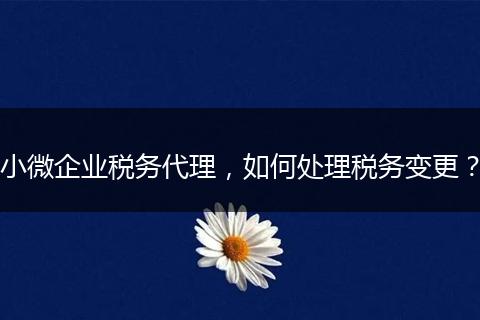 小微企業(yè)稅務(wù)代理，如何處理稅務(wù)變更？